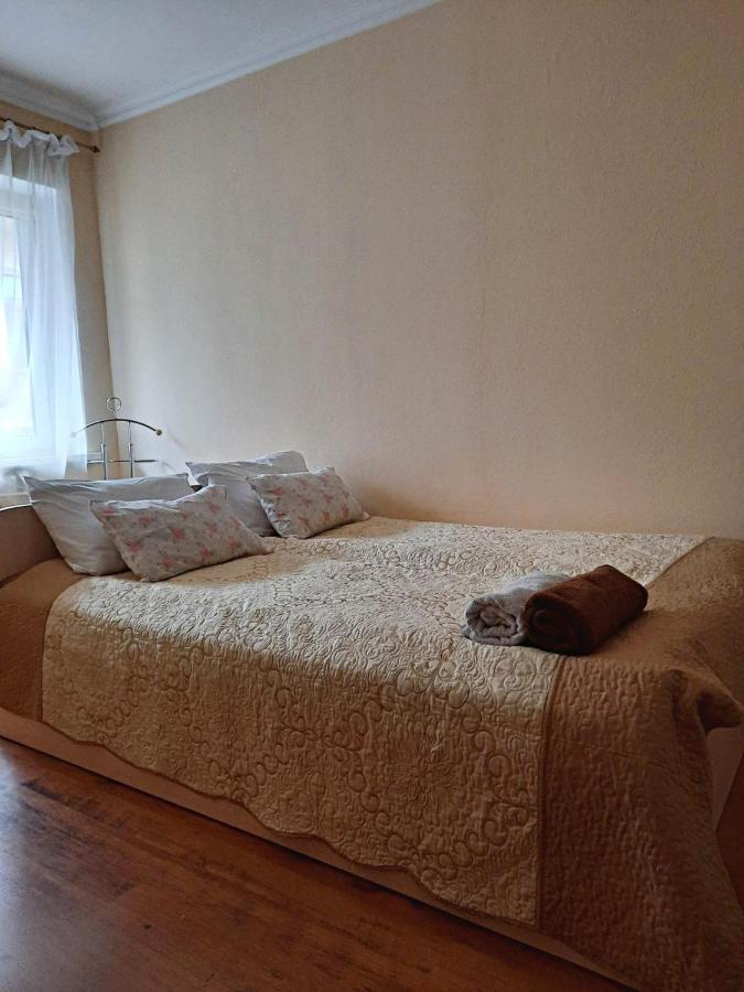 Apartment In The Historical City Center Csernyivci Kültér fotó